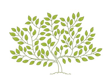 Yeşil ağaç. Yolları açın. Düzenlenebilir felç. Özel hat kalınlığı var. Vektör illüstrasyonu.