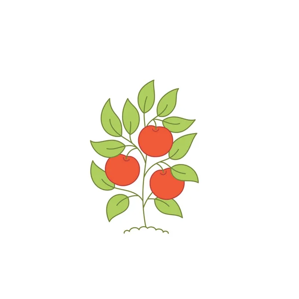 Kleine appelboom. Boomgaard fruitoogst. Open paden. Bewerkbare beroerte. Vectorlandbouw. — Stockvector