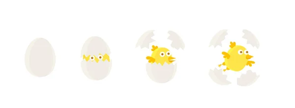 Пташенята вилуплюються з яйця. Векторні ілюстрації . — стоковий вектор
