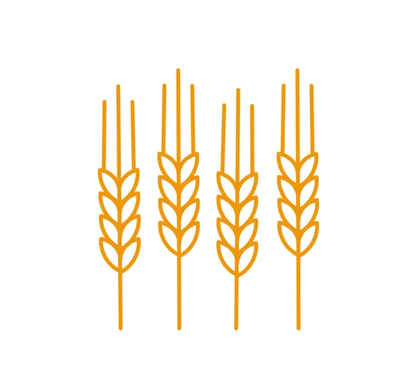 Wheat field icon. Agriculture cereal. Barley spikelet. Vector. Editable stroke size. — Vetor de Stock