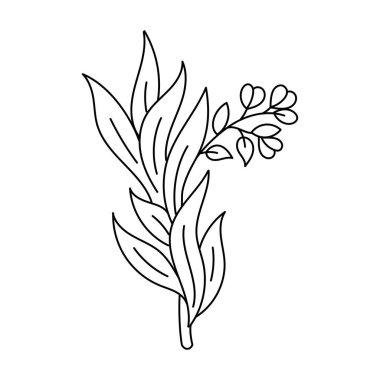 Baharat ve bitkilerin vektör çizimi. Beyaz bir arkaplanda izole edilmiş.