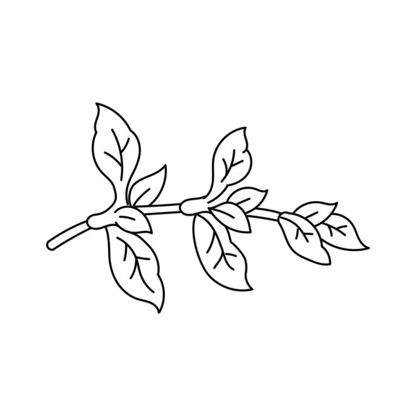 Croquis Vectoriel Illustrant Les Épices Les Herbes Isolé Sur Fond — Image vectorielle