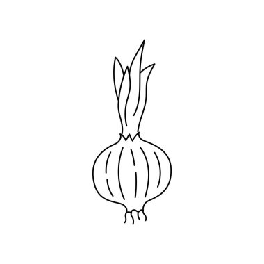 Baharat ve bitkilerin vektör çizimi. Beyaz bir arkaplanda izole edilmiş.