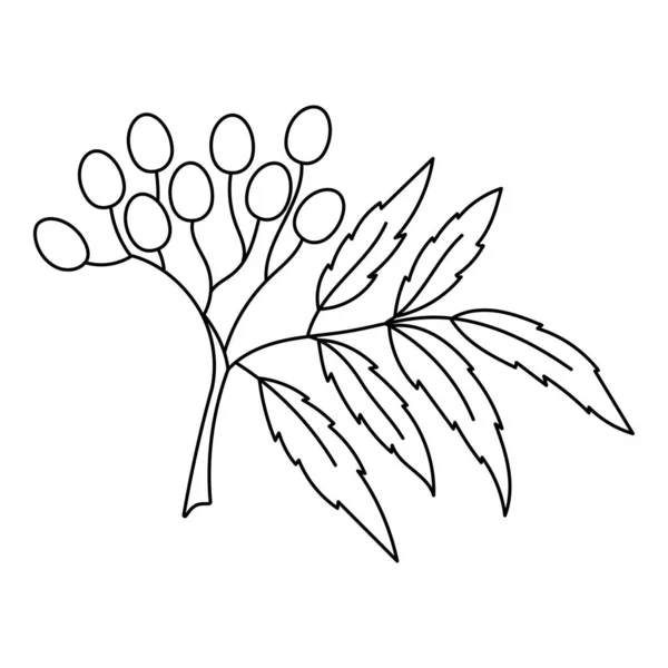 Croquis Vectoriel Illustrant Les Épices Les Herbes Isolé Sur Fond — Image vectorielle