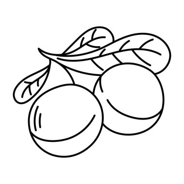 Vektör çizimi çizimi. Beyaz bir arka planda izole edilmiş. Yolları aç.