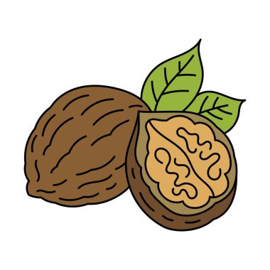 Vektör çizimi çizimi. Beyaz bir arkaplanda izole edilmiş.