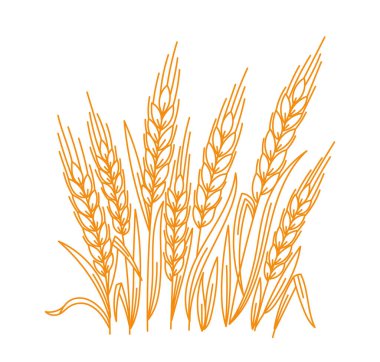 Editable outline stroke thickness. Vector line. Leaves and ears of wheat wrapper.