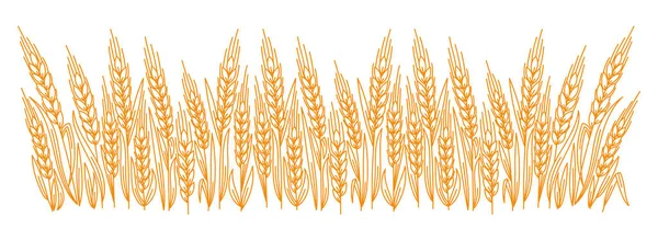 Редактируемая Толщина Контуров Векторная Линия Листья Уши Обёртки Пшеницы — стоковый вектор