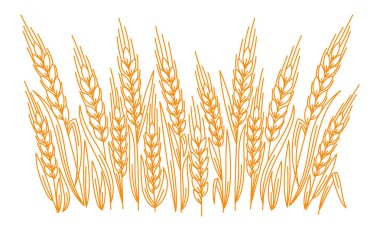 Editable outline stroke thickness. Vector line. Leaves and ears of wheat wrapper.