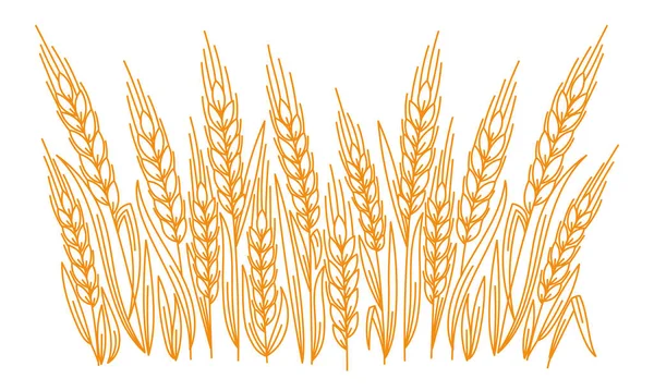 Editable Outline Stroke Thickness Vector Line Leaves Ears Wheat Wrapper — Archivo Imágenes Vectoriales