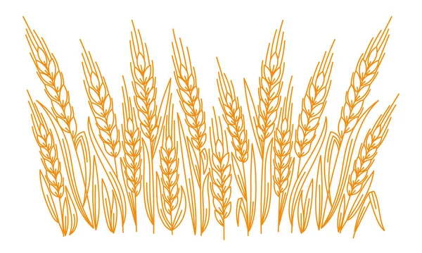 Editable Outline Stroke Thickness Vector Line Leaves Ears Wheat Wrapper — Stock vektor