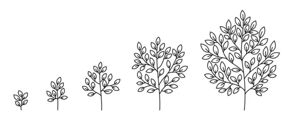 Plant Development Phases Animation Progression Vector Sketch Infographic Set Editable — Archivo Imágenes Vectoriales