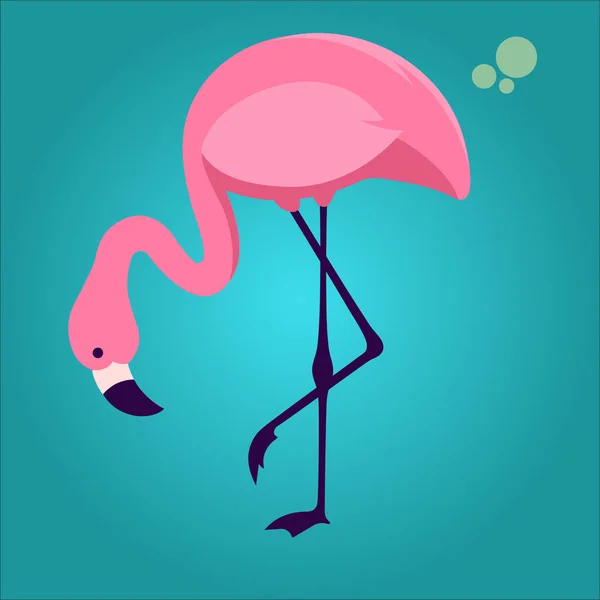 Flamingo Rosa Symbol Vektor Illustration — Stockvektor