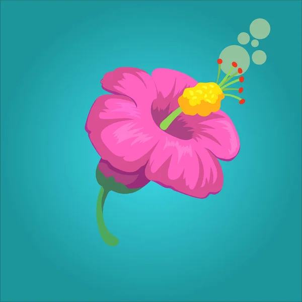 Kinds Flower Vector Ilustration Design — Stock Vector