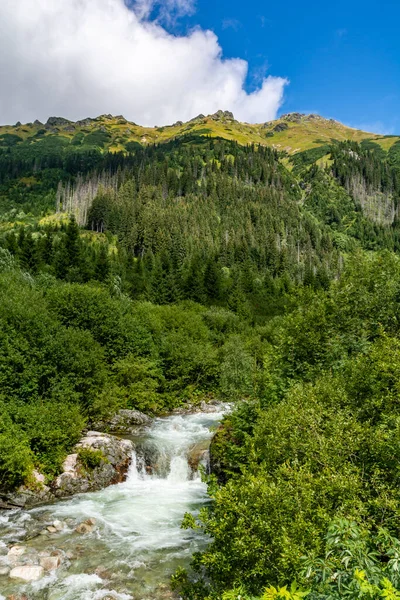 Górska Rzeka Przepływająca Przez Dolinę Między Zielonymi Krzewami — Zdjęcie stockowe