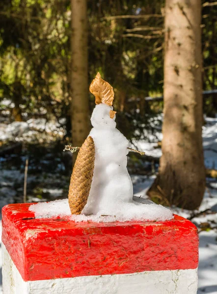 Ein Schneebedeckter Kleiner Mann Mit Einem Tannenzapfen Auf Einem Rot — Stockfoto