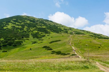 Terchova, Slovakia - July 24, 2022: Tourists going and returning from the Velky Krivan (Wielki Krywan) peak in Mala Fatra. This peak is the highest in its range.