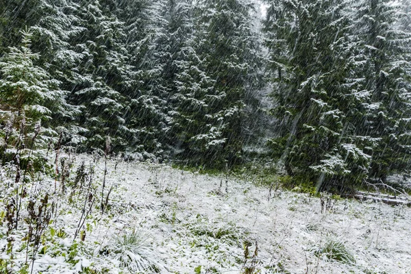 Der Erste Große Schneefall Mit Niederschlägen Ist Die Herbstsaison Schnee — Stockfoto