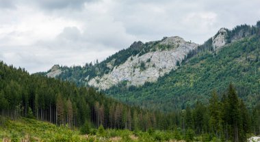 Belianske Tatras sırtı, kendine özgü karst topoğrafyasına sahip kireçtaşı ve dolomitten yapılmış dağlar içerir.