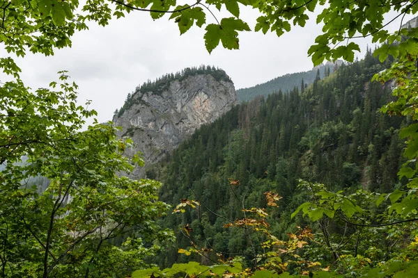 Pared Vertical Cima Montaña Suelo Del Bosque Como Día Nublado —  Fotos de Stock