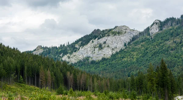 Belianske Tatras Ridge Contains Mountains Built Limestone Dolomite Distinctive Karst — Stock Photo, Image