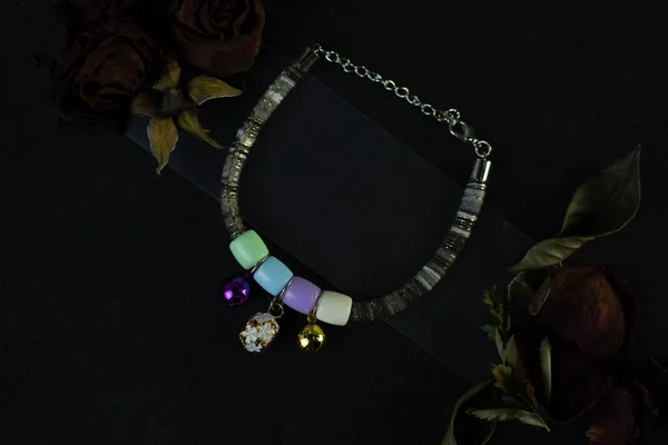 cat collar on a black background and dried flowers