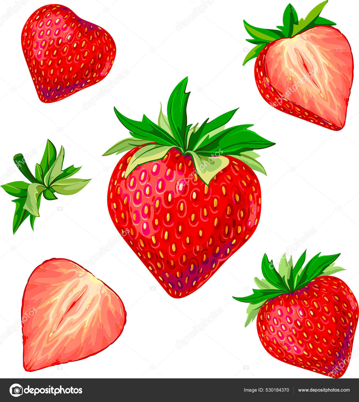 Fraises entières images vectorielles, Fraises entières vecteurs libres de  droits | DepositPhotos, image size:1520x1700