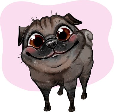 Pug puppy vektör çizimi - Pug-dog şeffaf arka planda izole