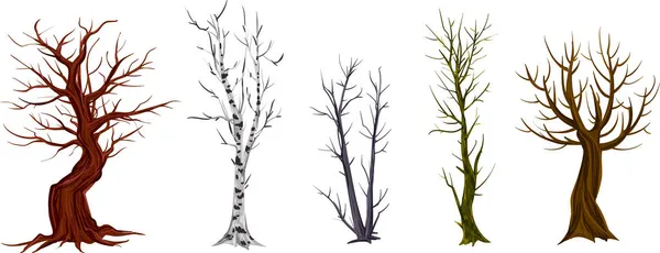 Набор Деревьев Листьев Изолированных Белом Анастасии — стоковый вектор