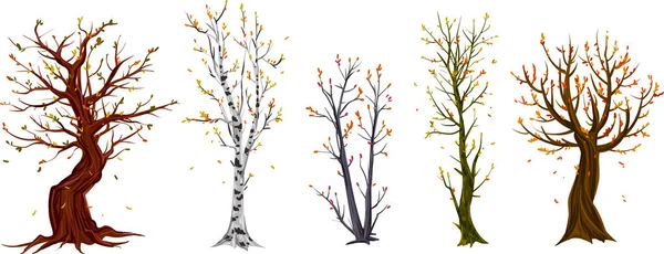 Set Different Autumn Trees Painted Watercolor Vector Illustration — Stock Vector