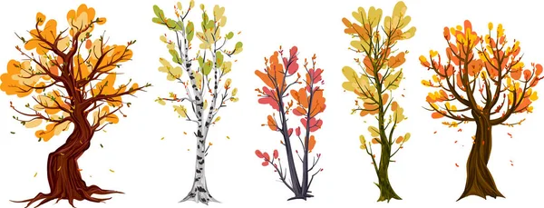 Set Different Autumn Trees Painted Watercolor Vector Illustration — Stock Vector