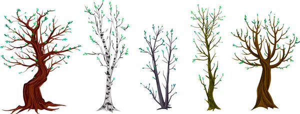 Set Aus Verschiedenen Herbstbäumen Gemalt Mit Aquarell Vektorillustration — Stockvektor