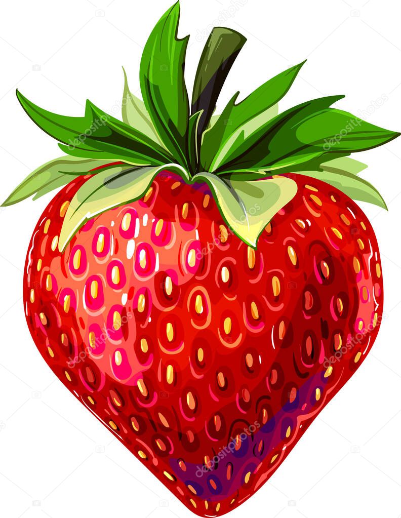 Strawberry. delicious strawberries. sweet strawberry strawberry illustration