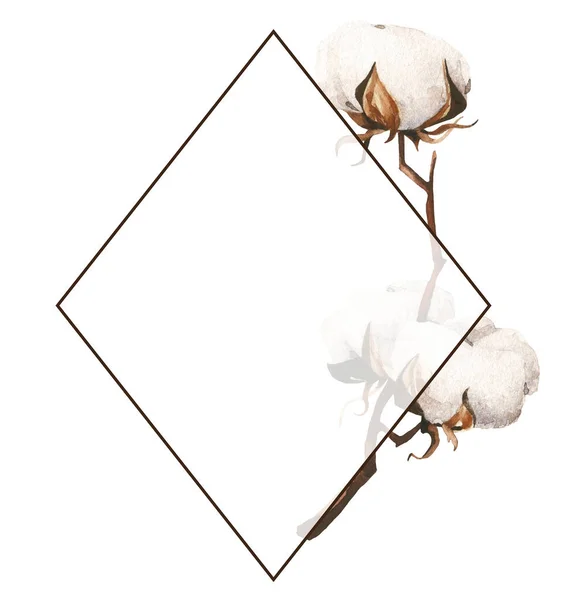 Quadro Losango Isolado Com Ramo Flor Algodão Branco Watercolor Desenhado — Fotografia de Stock