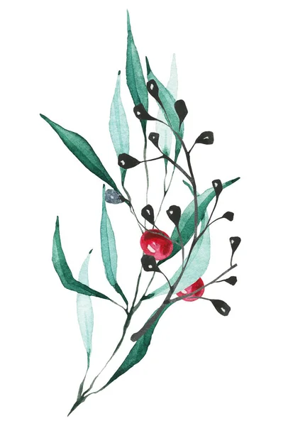 Branche Noire Isolée Eucalyptus Arrangement Baies Rouges Bouquet Noël Aquarelle — Photo