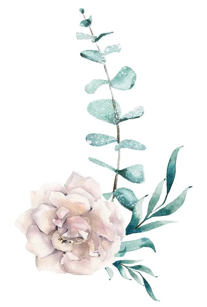 Vereinzelte Eukalyptusblätter Und Weiße Rosen Aquarell Handgezeichnete Gemalte Illustration Auf — Stockfoto