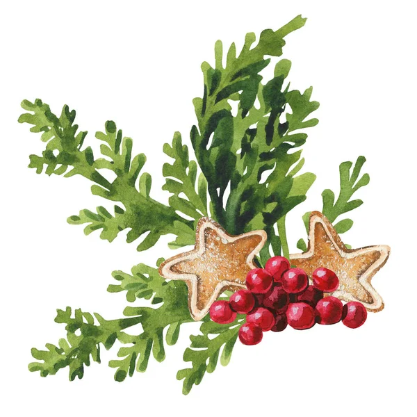 Christmas Arrangement Thuja Branches Gingerbreads Cranberries Watercolor Hand Drawn Painted — Stock Photo, Image