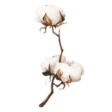 Suluboya Noel düzenlemesi. 