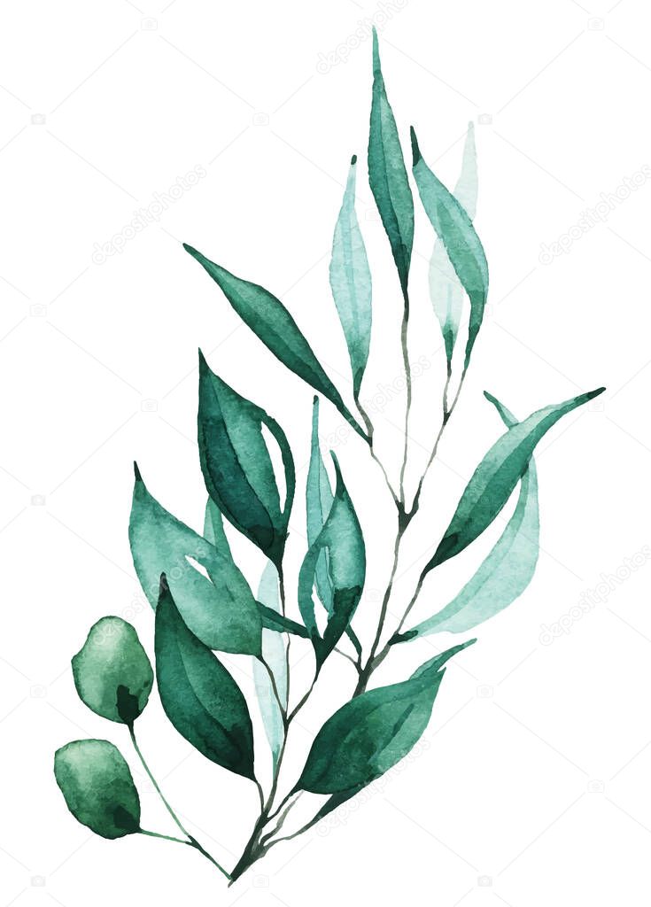 Isolated leaves branch arrangement.