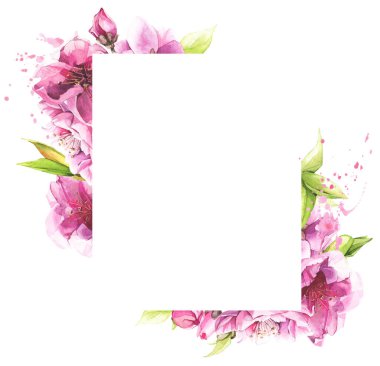 Suluboya pembe kiraz çiçekleri. Çiçek çerçevesi.