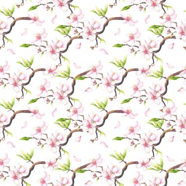 Suluboya beyaz kiraz çiçekleri pürüzsüz desen.