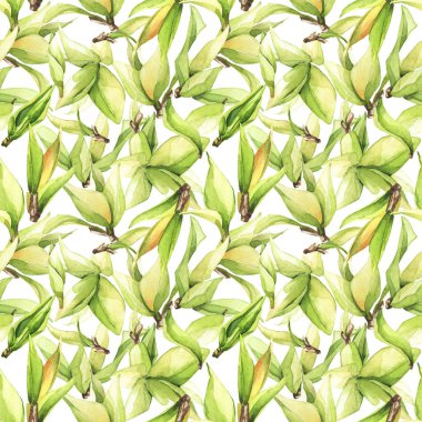 Suluboya taze yeşil yapraklar boyadı. Çiçeksiz desen.