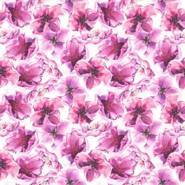 Suluboya boya pembe kiraz çiçekleri seti.