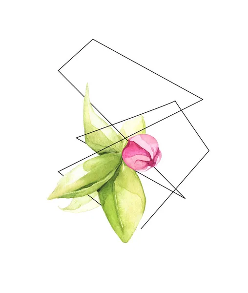 Aquarell handgemalter geometrischer Linienrahmen mit rosa Kirschknospe und Blättern. Vereinzelte florale Illustration. — Stockfoto