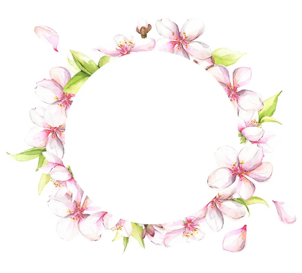 Watercolor painted white cherry blossoms. Isolated floral wreath — Stock Photo, Image