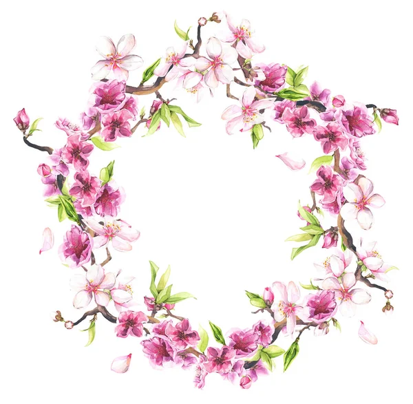 Watercolor painted pink cherry blossoms. Floral wreath. — Stock Photo, Image