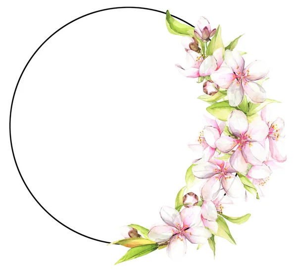 Watercolor painted white cherry blossoms. Isolated floral wreath illustration. — Stock Photo, Image