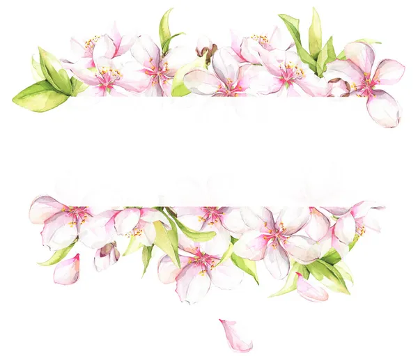 Watercolor painted white cherry blossoms. Isolated floral frame — Stock Photo, Image