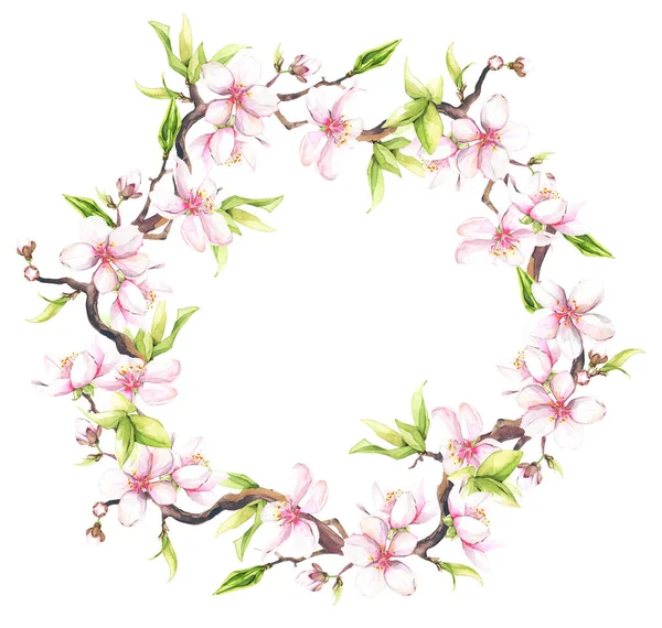 Watercolor painted white cherry blossoms. Isolated floral wreath illustration. — Stock Photo, Image