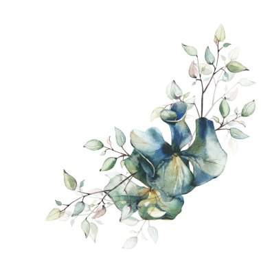 Beyaz arka planda suluboya çiçek buketi. Dalları, yaprakları, ortanca çiçekleri olan bir yer..